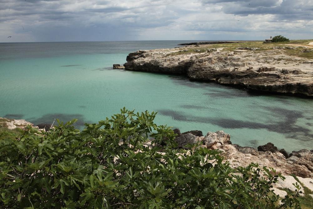 Playa Del Mar - Adults Only Bed & Breakfast Monopoli Eksteriør bilde