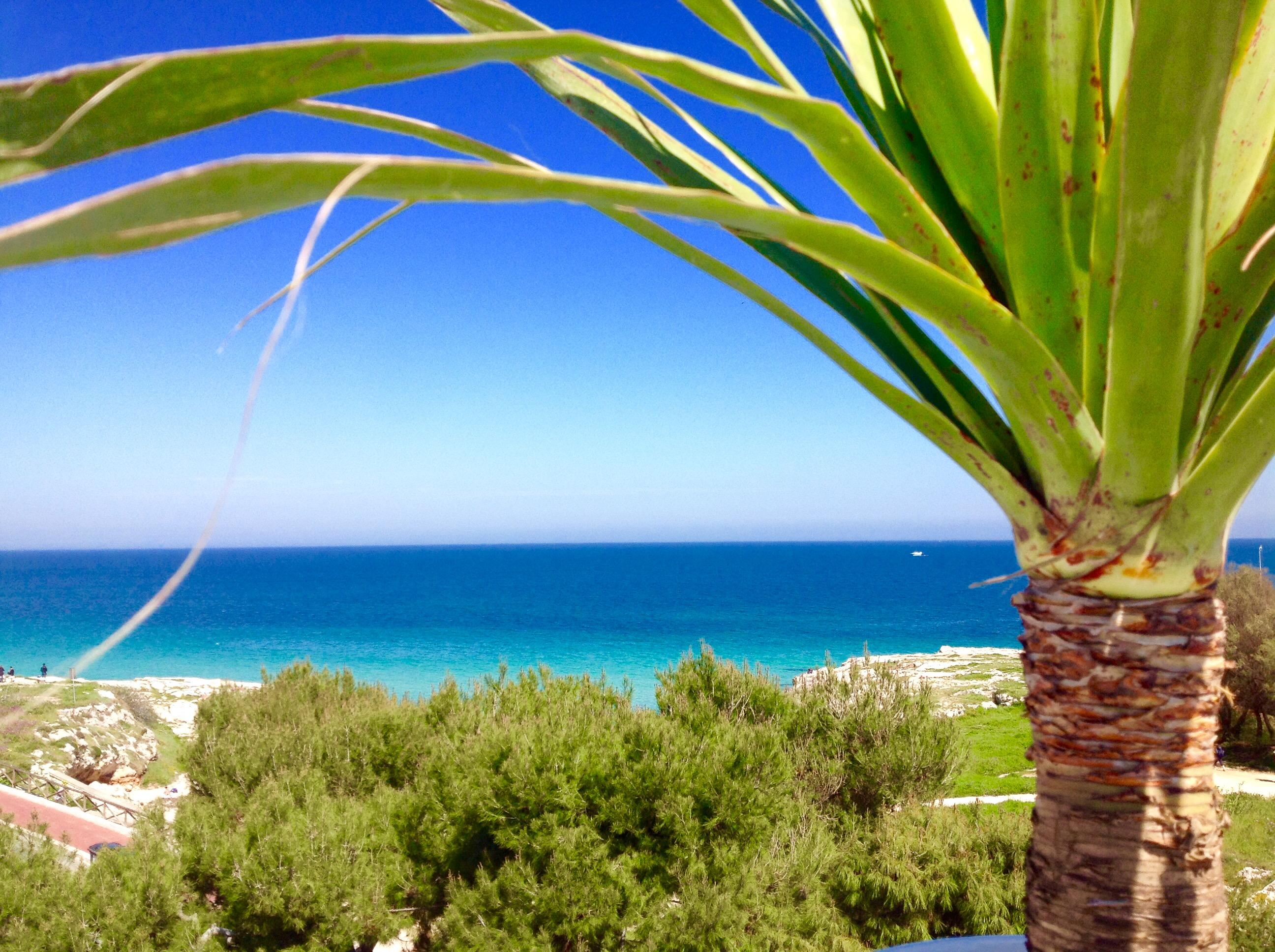 Playa Del Mar - Adults Only Bed & Breakfast Monopoli Eksteriør bilde
