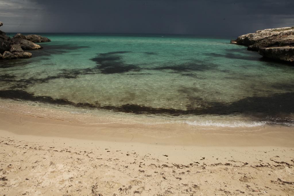 Playa Del Mar - Adults Only Bed & Breakfast Monopoli Eksteriør bilde