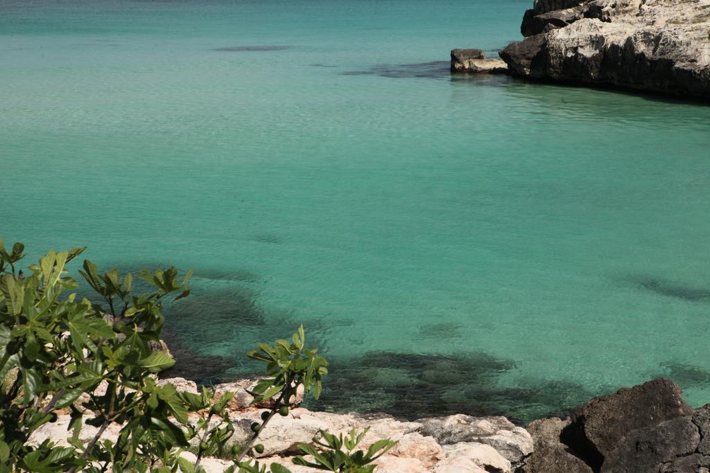 Playa Del Mar - Adults Only Bed & Breakfast Monopoli Eksteriør bilde