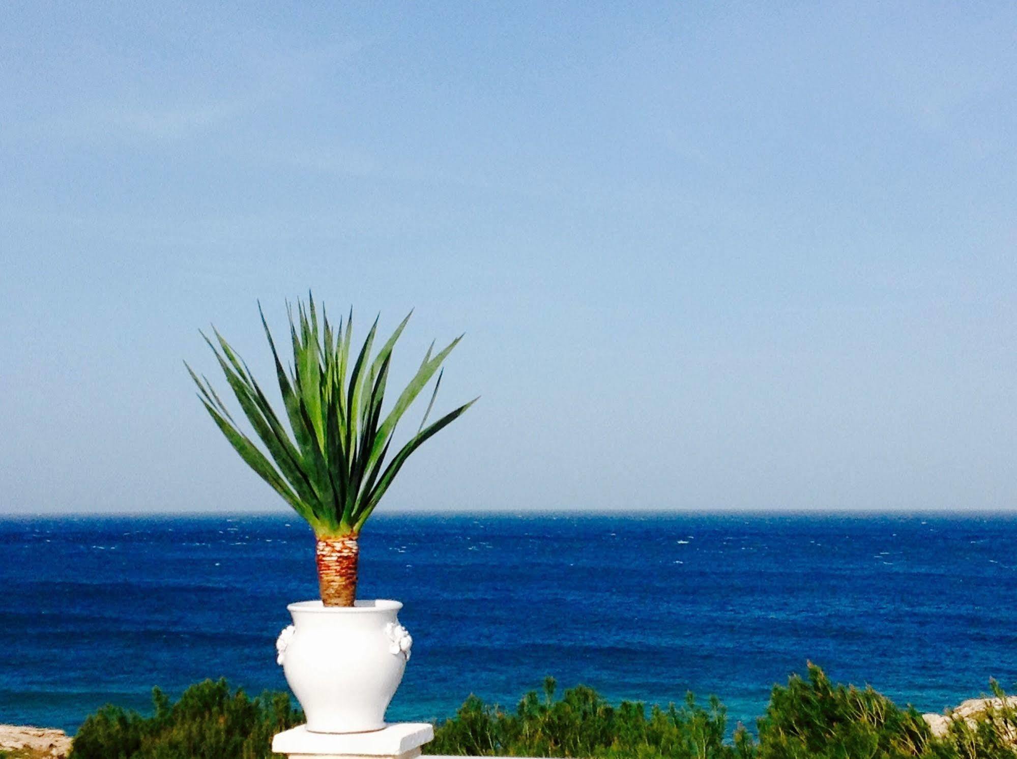 Playa Del Mar - Adults Only Bed & Breakfast Monopoli Eksteriør bilde